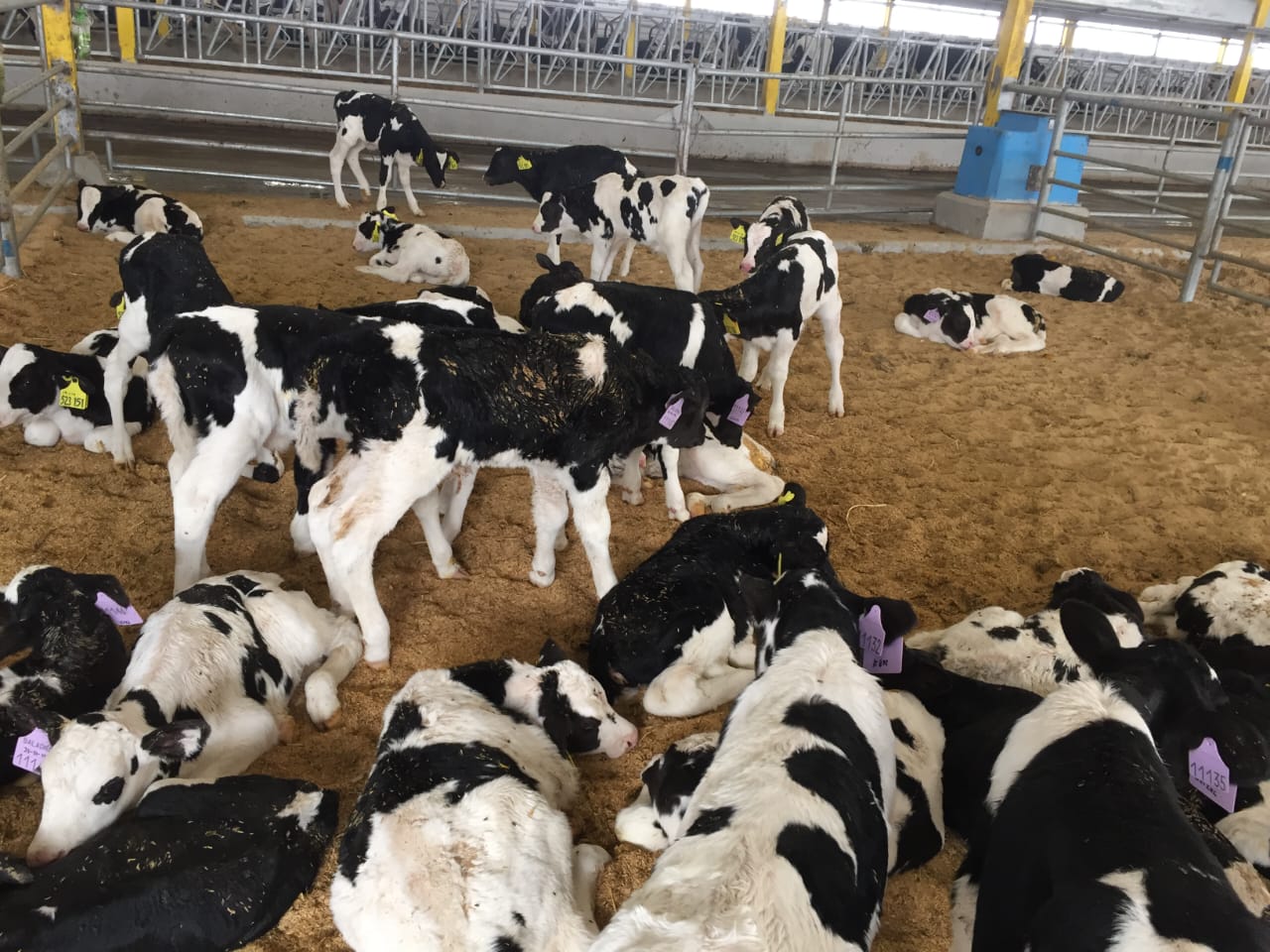 Farm Planning & Layout Design